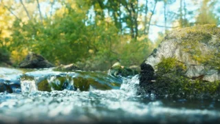 Nahaufnahme eines klaren Bachs, der über moosbedeckte Steine in einem bewaldeten Gebiet fließt – Symbol für natürliche Wasserwirtschaft.