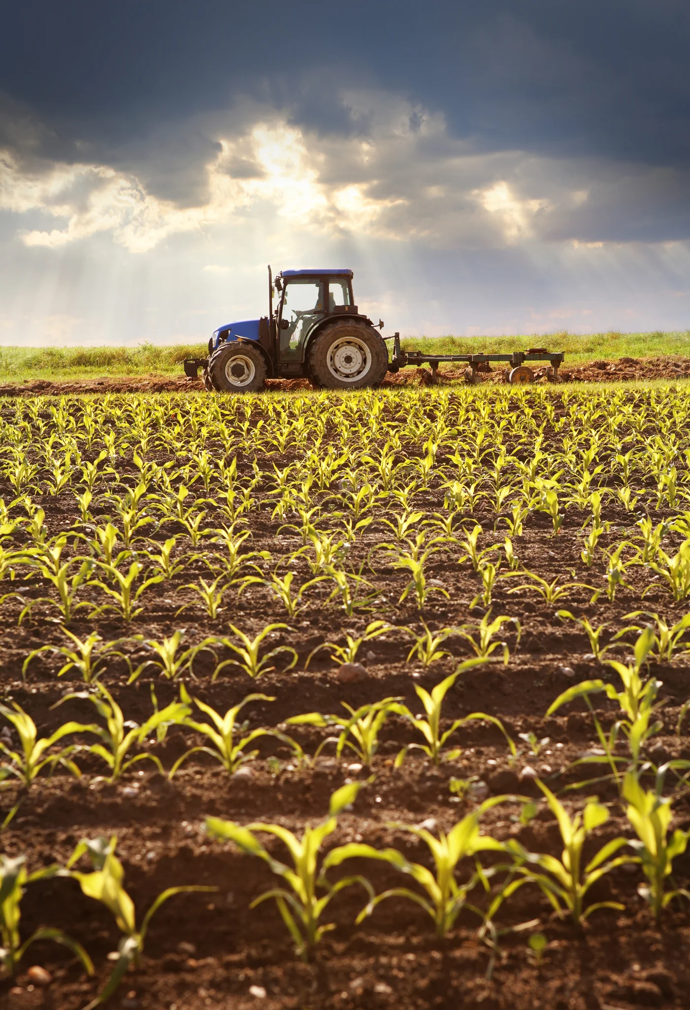 Traktor bei der Bodenbearbeitung