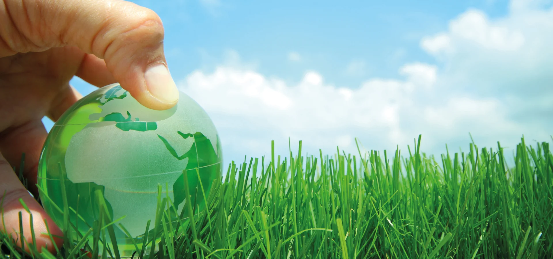 Der Schutz der Erde liegt in unseren Händen – wir tragen mit dem Einsatz von Drahtgewebe dazu bei.