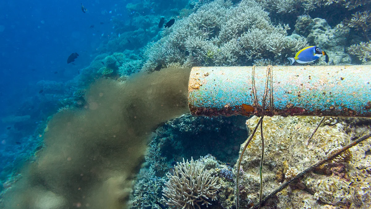 Underwater sewer wastewater pipe in coral riff