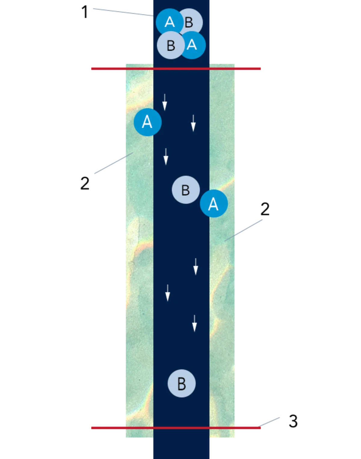 Schema mobile und stationäre Phase der Chromatographie