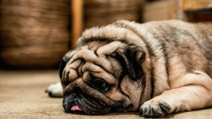 Kein administrativer Aufwand