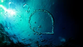 [Translate to French:] Blick von Unterwasser auf Meeresoberfläche