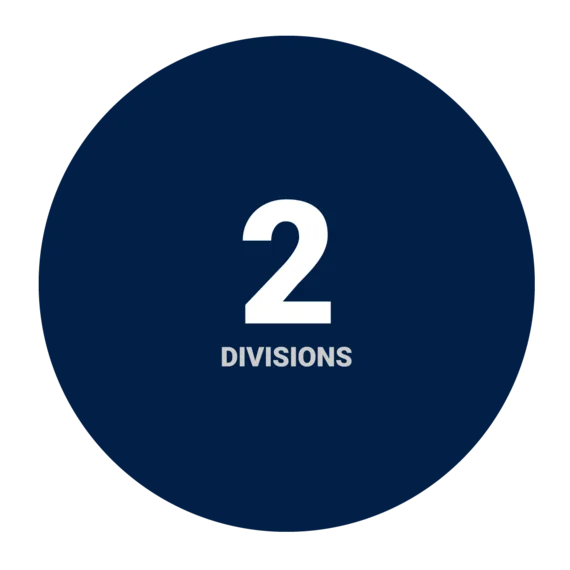 Icon: 2 divisions