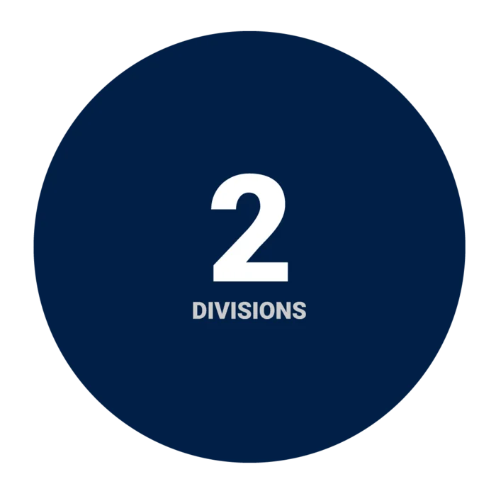 Icon: 2 divisions