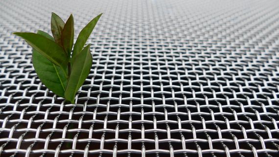 Pflanze wächste aus Metallgewebe-Fassade