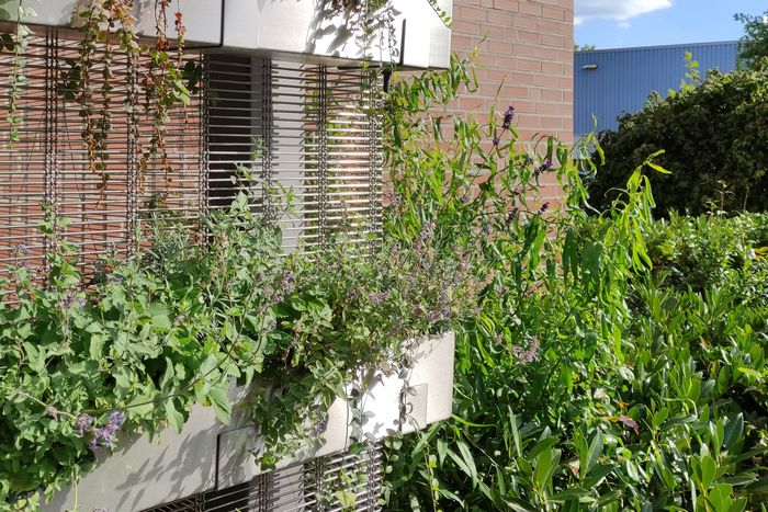 Grüne Fassaden lassen sich mit HAVER Architekturgewebe umsetzen.