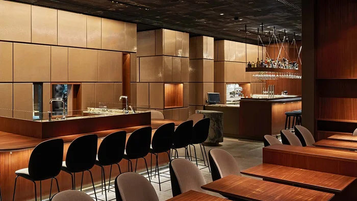Interior design using painted architectural wire mesh
