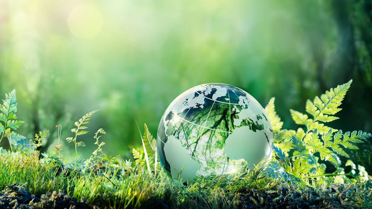 Forest setting with a glass globe symbolizes Haver & Boecker's responsibility