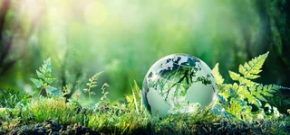 Forest setting with a glass globe symbolizes Haver & Boecker's responsibility