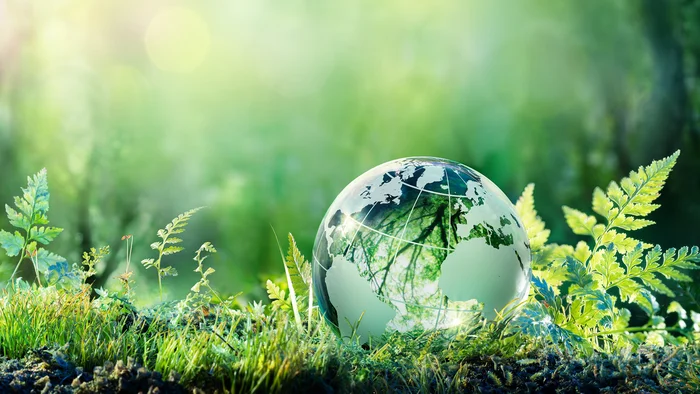 Waldumgebung mit einer gläsernen Weltkugel symbolisiert die Verantwortung von Haver & Boecker