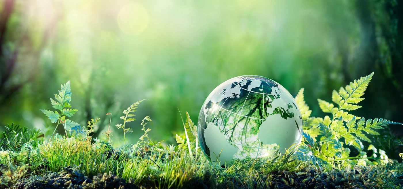 Forest setting with a glass globe symbolizes Haver & Boecker's responsibility