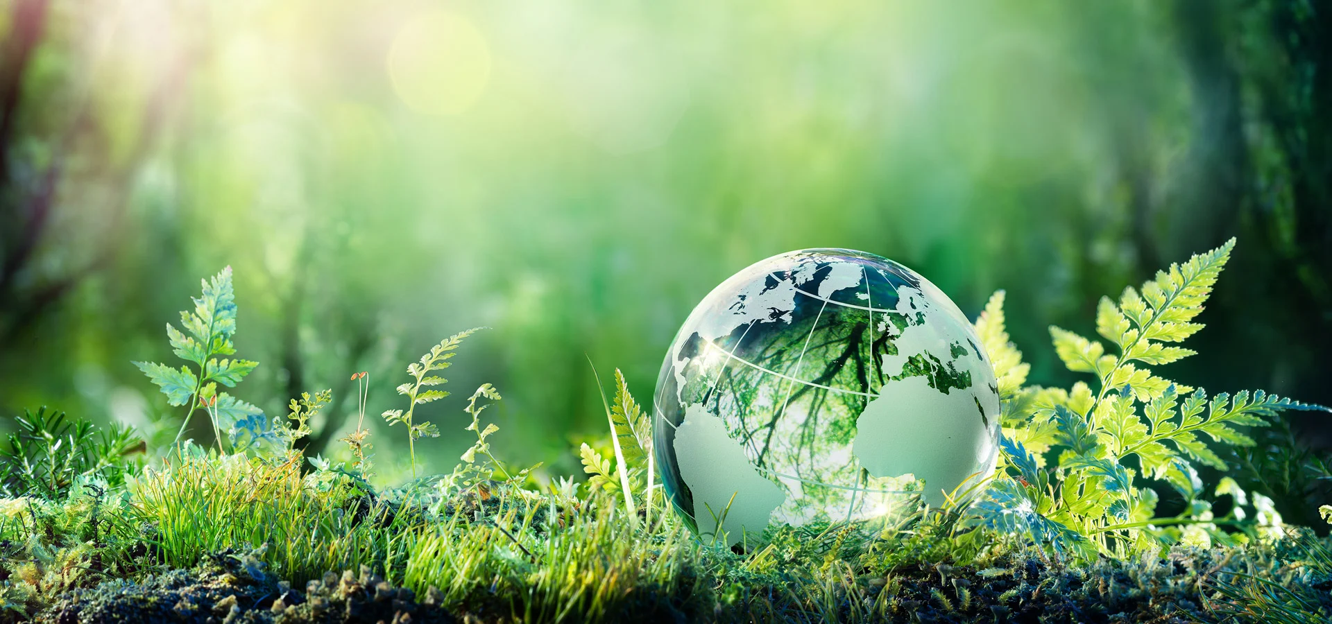 Forest setting with a glass globe symbolizes Haver & Boecker's responsibility