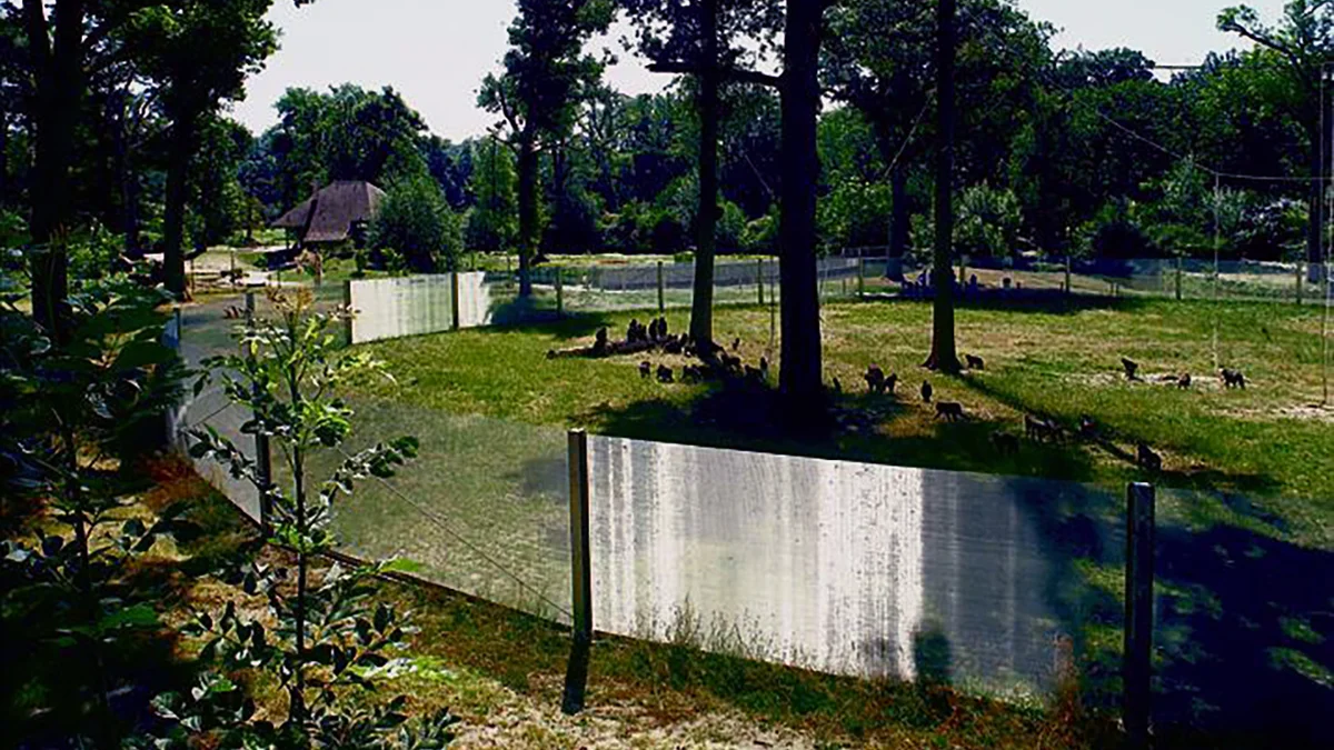 Enclos de singes en toile d’acier inoxydable.