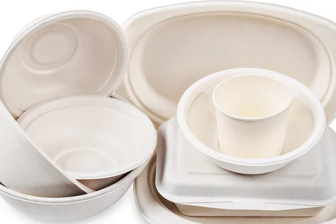 Group of packaging made from paper pulp