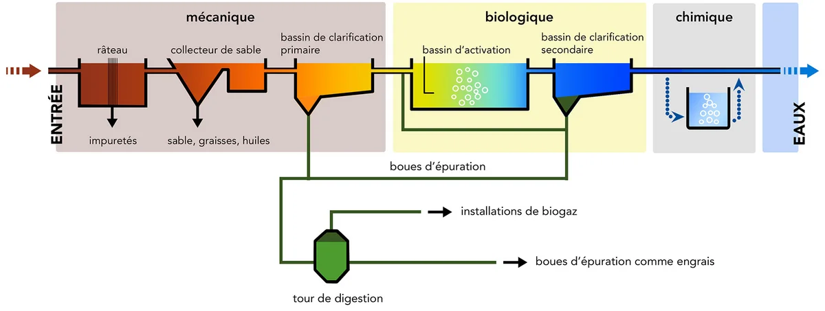 Croquis d'un processus d'épuration dans une station d'épuration des eaux usées