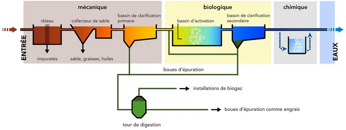 Croquis d'un processus d'épuration dans une station d'épuration des eaux usées