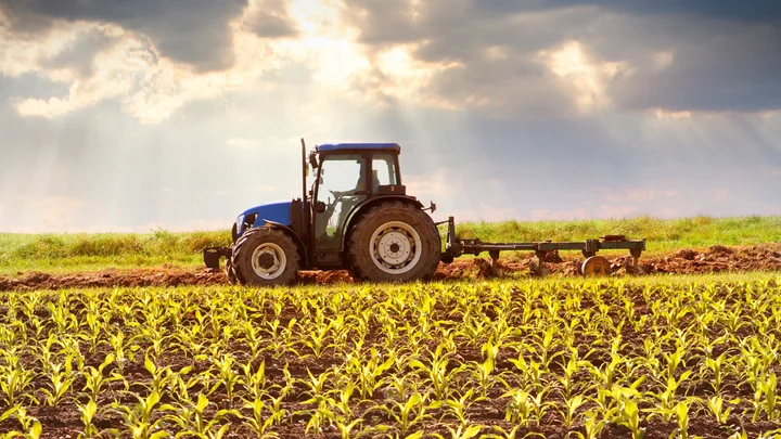 Wire mesh in agricultural machinery