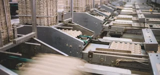 Industrielle Produktionsanlage zur Herstellung von Eierkartons aus recyceltem Papier mit Förderbändern.