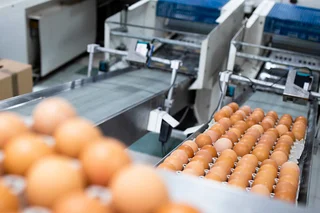 5 avantages de la toile métallique pour la production d’emballages durables en cellulose