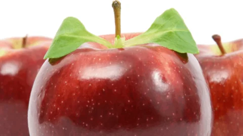 Ausgewählte Schulungen