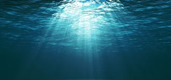 [Translate to French:] dunkle Meeresoberfläche von Unterwasser betrachtet