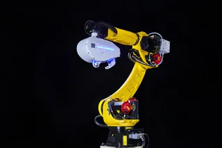 AMICUS®: ES GIBT KEINEN BESSEREN FREUND