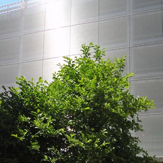 Ohio State University - Parking Garage