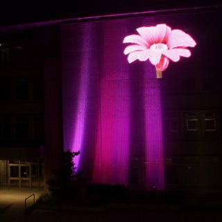 Les toiles illuminées de HAVER & BOECKER