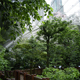 Aviary Hong-Kong-Park